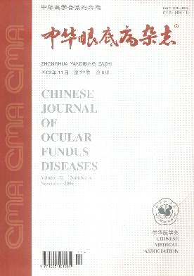 中华眼底病杂志封面